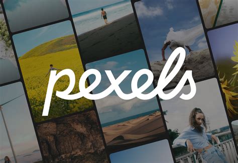 pexel videos|Pixels Videos, Download The BEST Free 4k Stock Video。